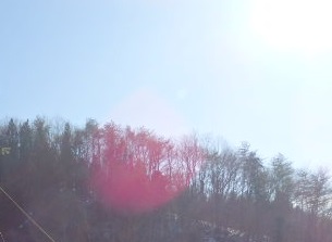 P1010013~1.JPG