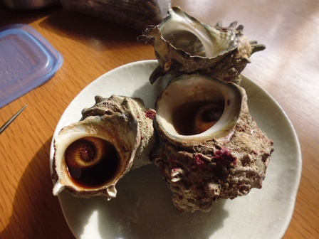 P1020018.JPG