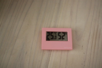 IMG_5991 (350x233).jpg