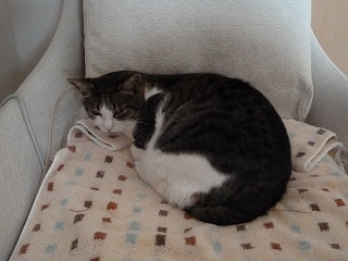 P1060340ss.jpg