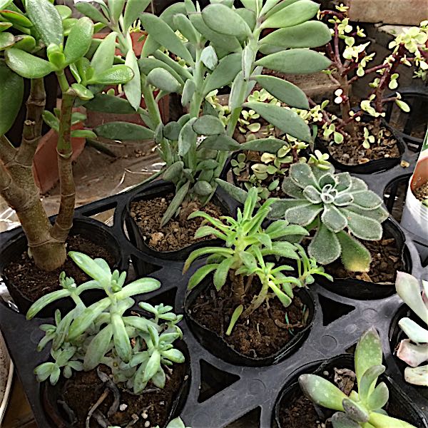 rblog-20150915082816-00.jpg