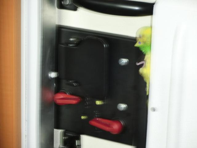 CIMG3200.jpg