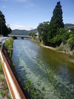 海に続く川