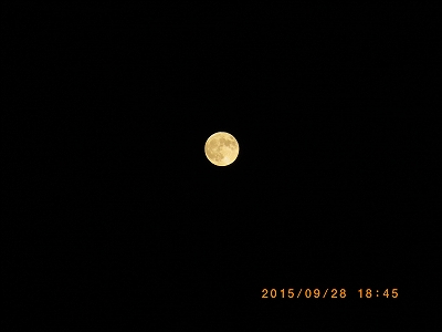 夜景モードで、AFエリア、測光方式の設定をいじって、光学10倍ズームで撮影