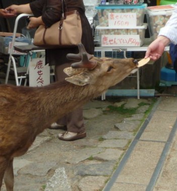 nara