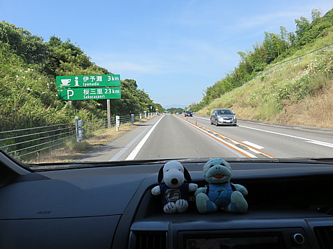 IMG_4775.jpg