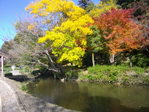 偕楽園 (11) (500x375).jpg