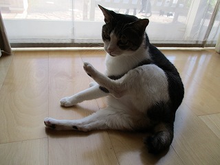 IMG_0634ss.jpg