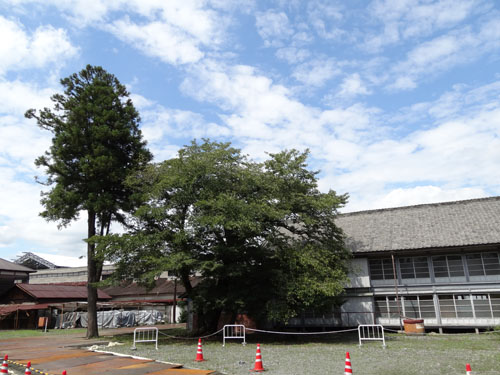 2015-08-27-49