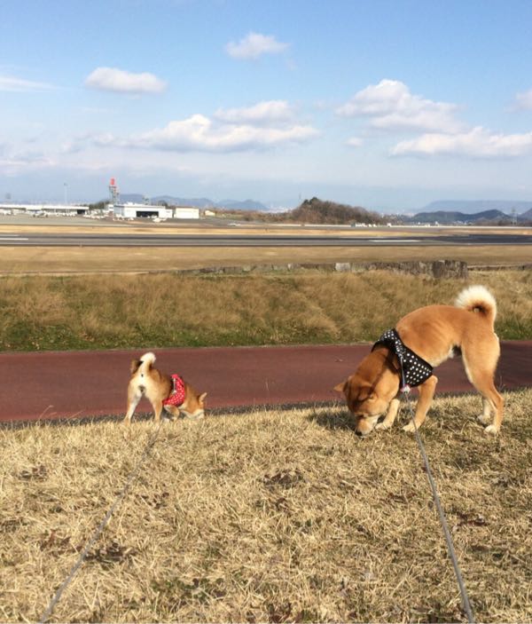rblog-20160123122814-00.jpg