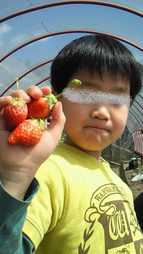 いちご狩り