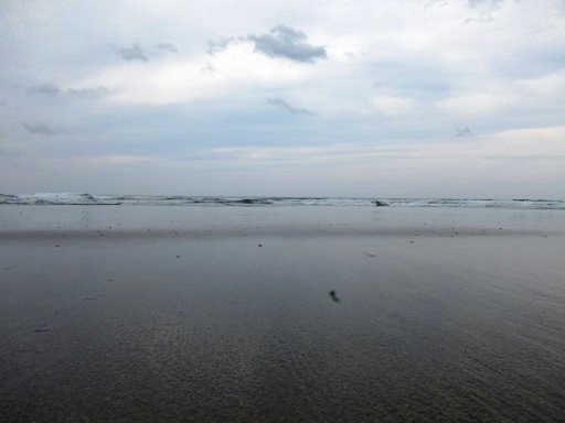 ある時は海へ.jpg