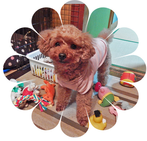 こころ１２