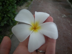 DSCN1555.JPG