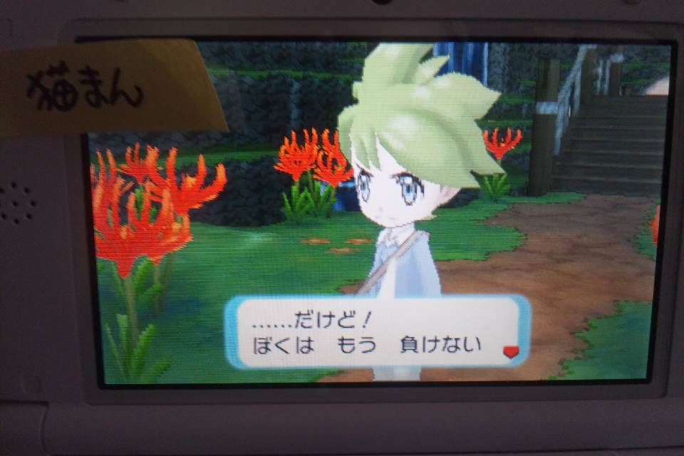 16ページ目の ポケモン さんごじゅなす 楽天ブログ
