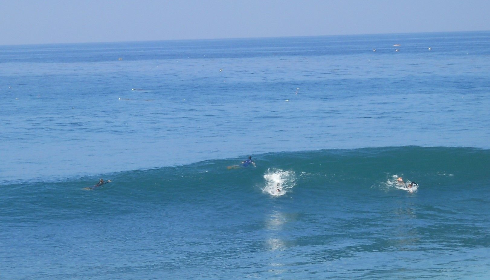 サンディエゴ ラホヤ ビーチ ビッグウエーブ サーファー La Jolla Beach 10月14日 ラスベガス ロサンゼルスの旅 楽天ブログ