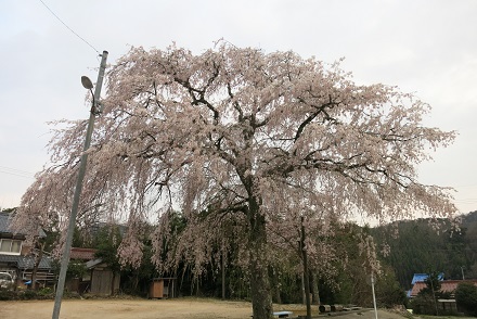 IMG_9735.jpg