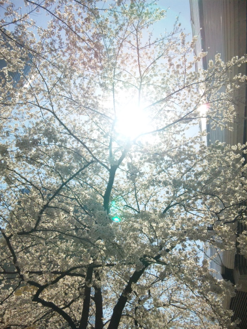 120408_124926.jpg