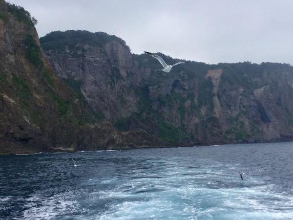 rblog-20160904172556-05.jpg