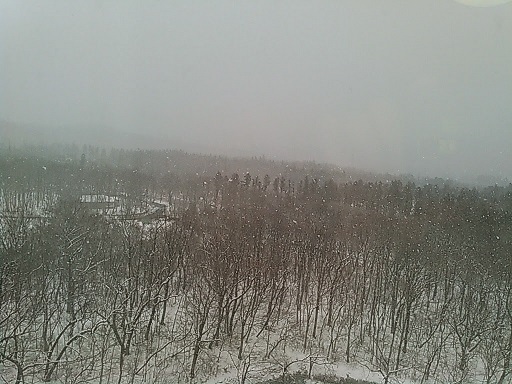 95.jpg