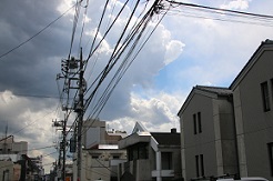 IMG_3201-21.jpg