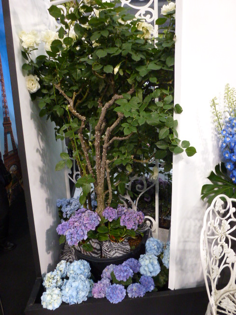 465