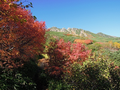 DSCN5990s.jpg
