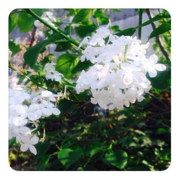rblog-20140415235549-01.jpg