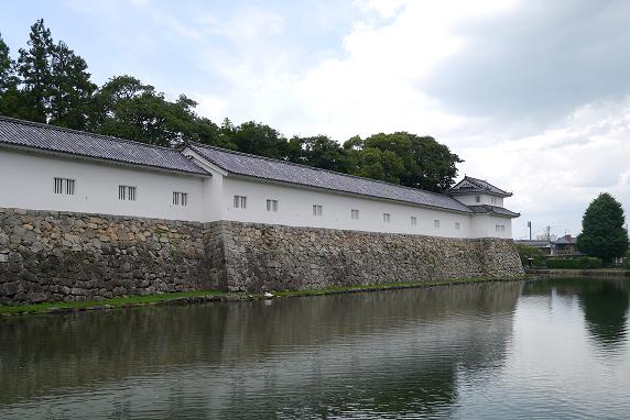 P1000717.JPG