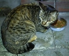 5DA_0864-11.jpg