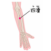 手の少陽三焦経「四瀆(しとく)」 blog 楽天ブログ
