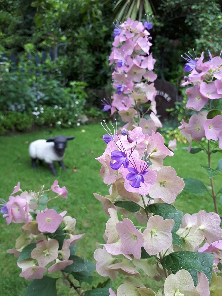 20170709_080700.jpg