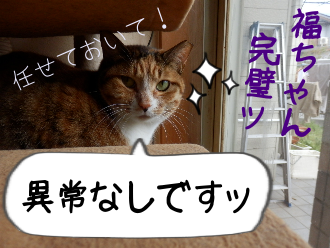 P4050017.png