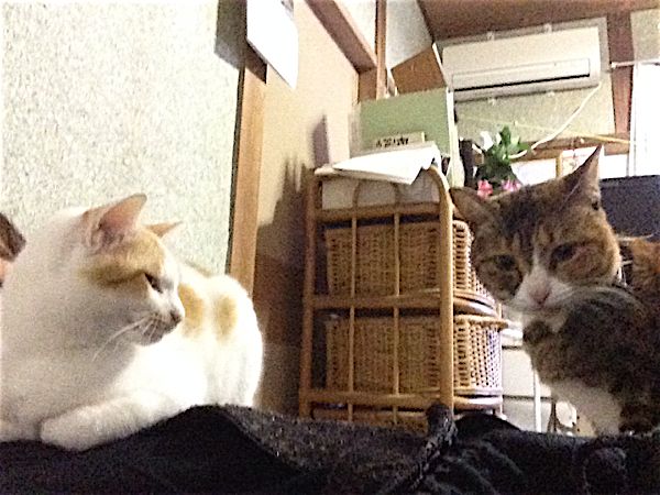 rblog-20151231212254-03.jpg