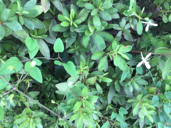 rblog-20180911111648-02.jpg