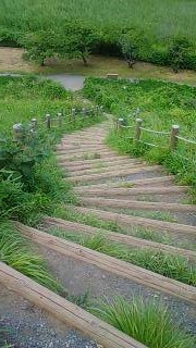 下り道３