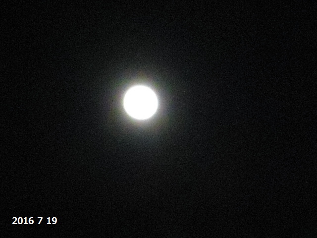 DSC00316.JPG