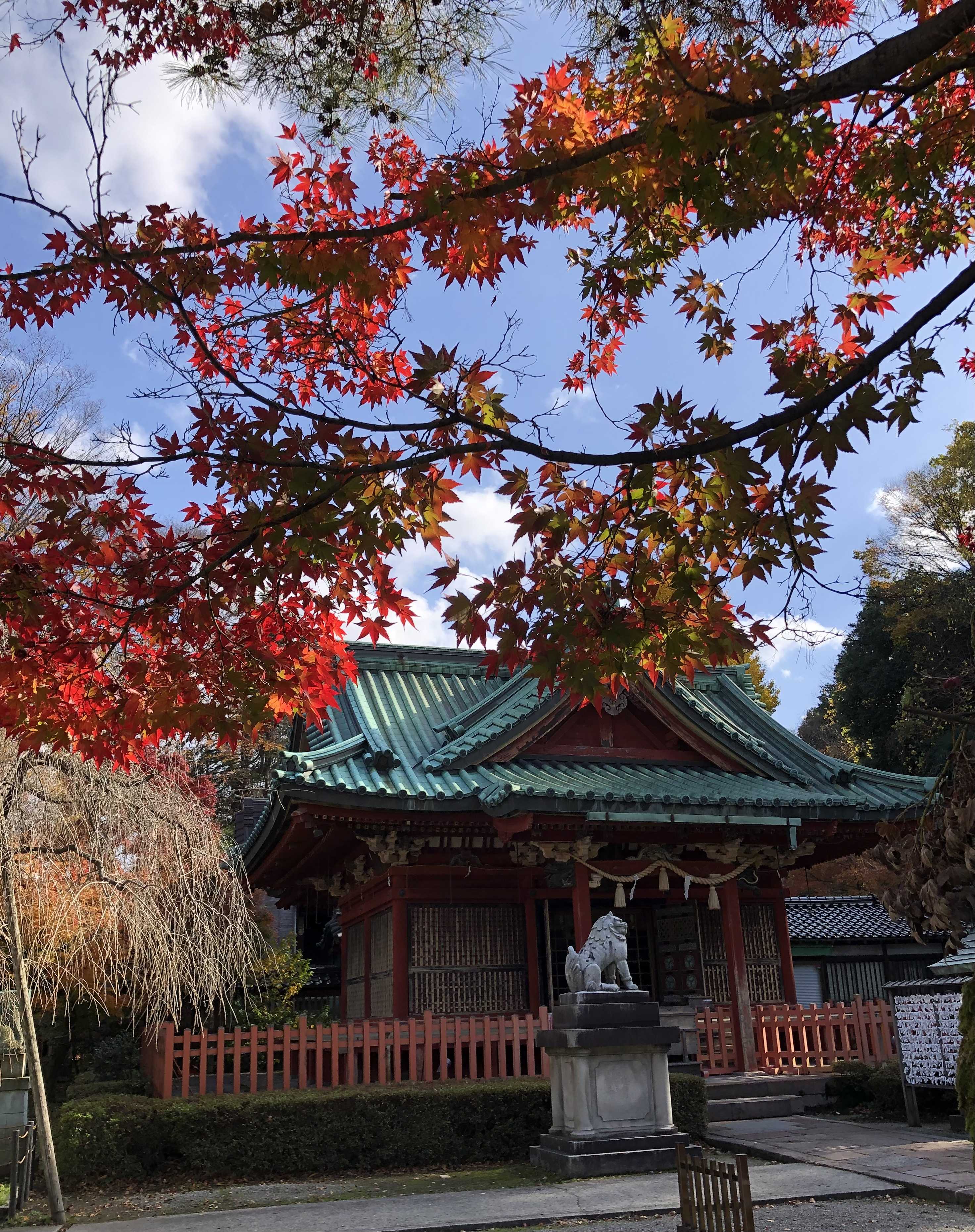 金沢　尾崎神社