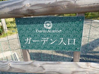 P1260382ss.jpg
