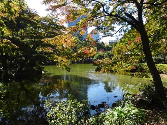 DSC07579_R.JPG