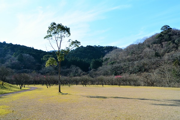梅園