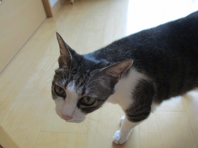 IMG_8726ss.jpg