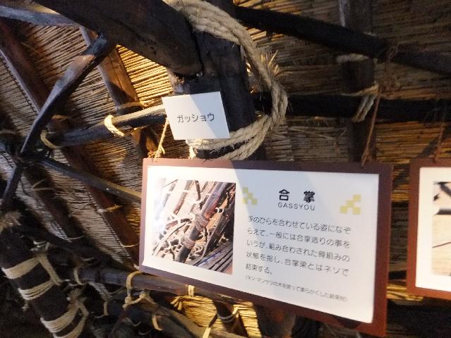 DSCF9969.jpg