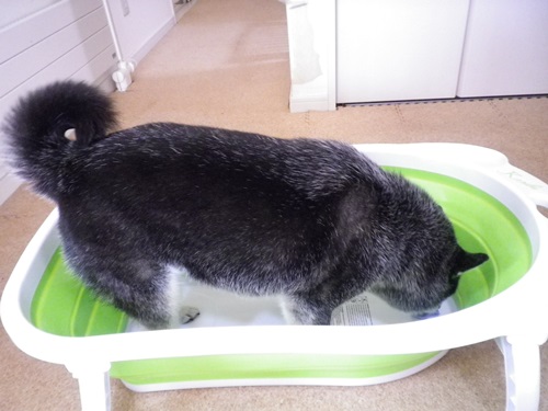 シュミレーション中