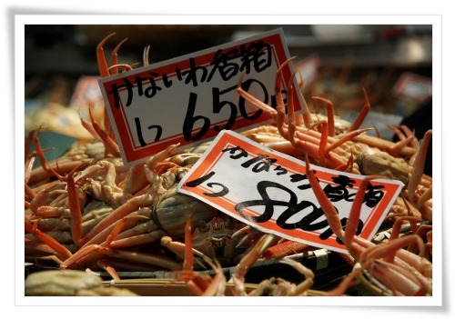 いきいき魚市-7 13.12.29