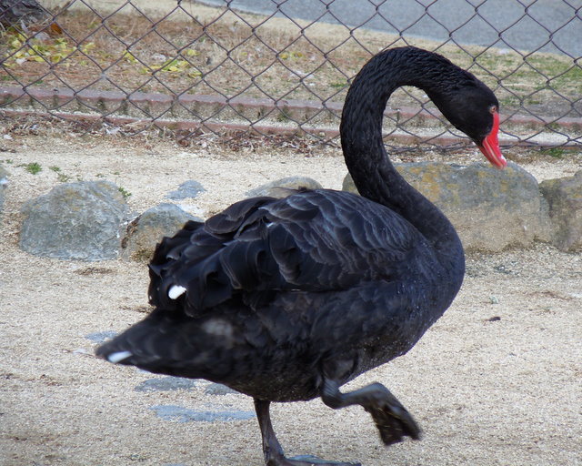 DSCN1229.JPG