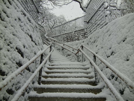 雪景色