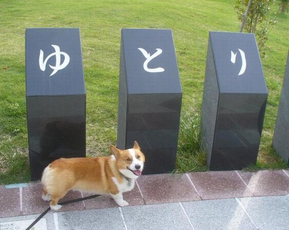 画像はイメージです