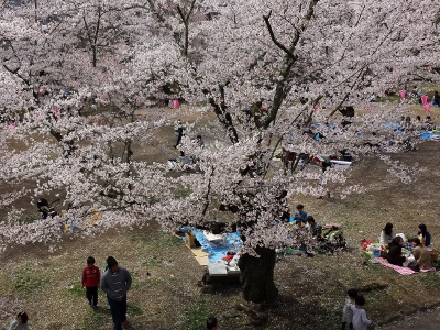 20160416_132906 (400x300).jpg