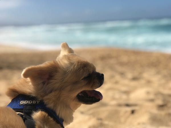 rblog-20190213202240-00.jpg